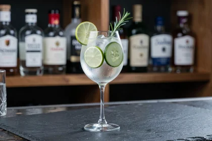 Verre ballon de gin tonic garni de tranches de citron vert et romarin posé sur un comptoir en ardoise dans un bar à cocktails